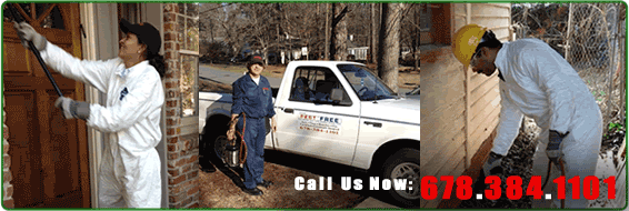 PEST REMOVAL SERVICES